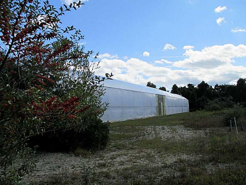 The 60×200 greenhouse in full production in 2014