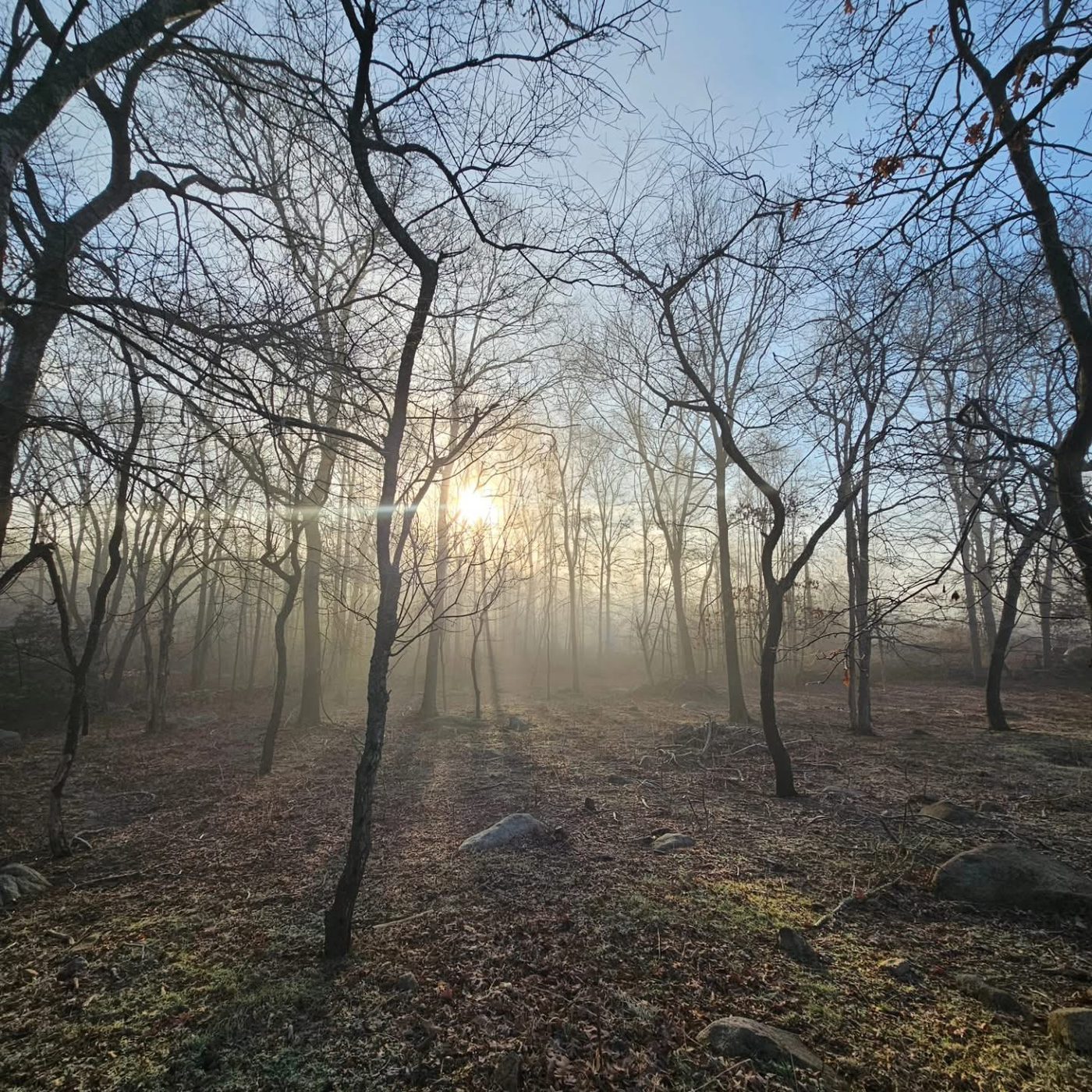 Sunrise over the back acres.